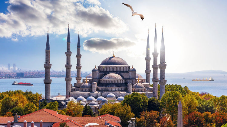 Blue Mosque 