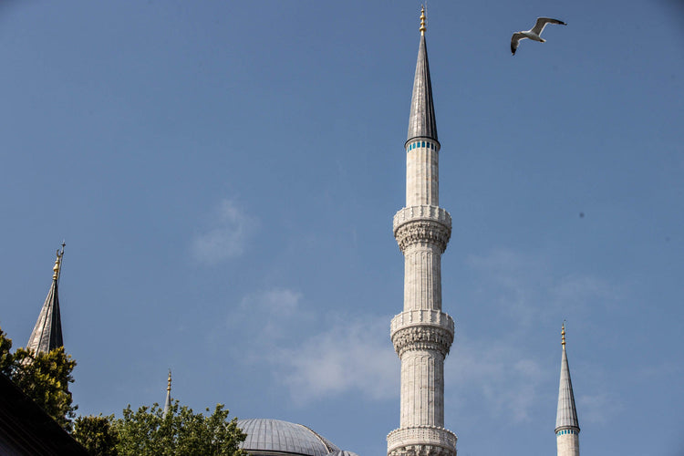 Blue Mosque 